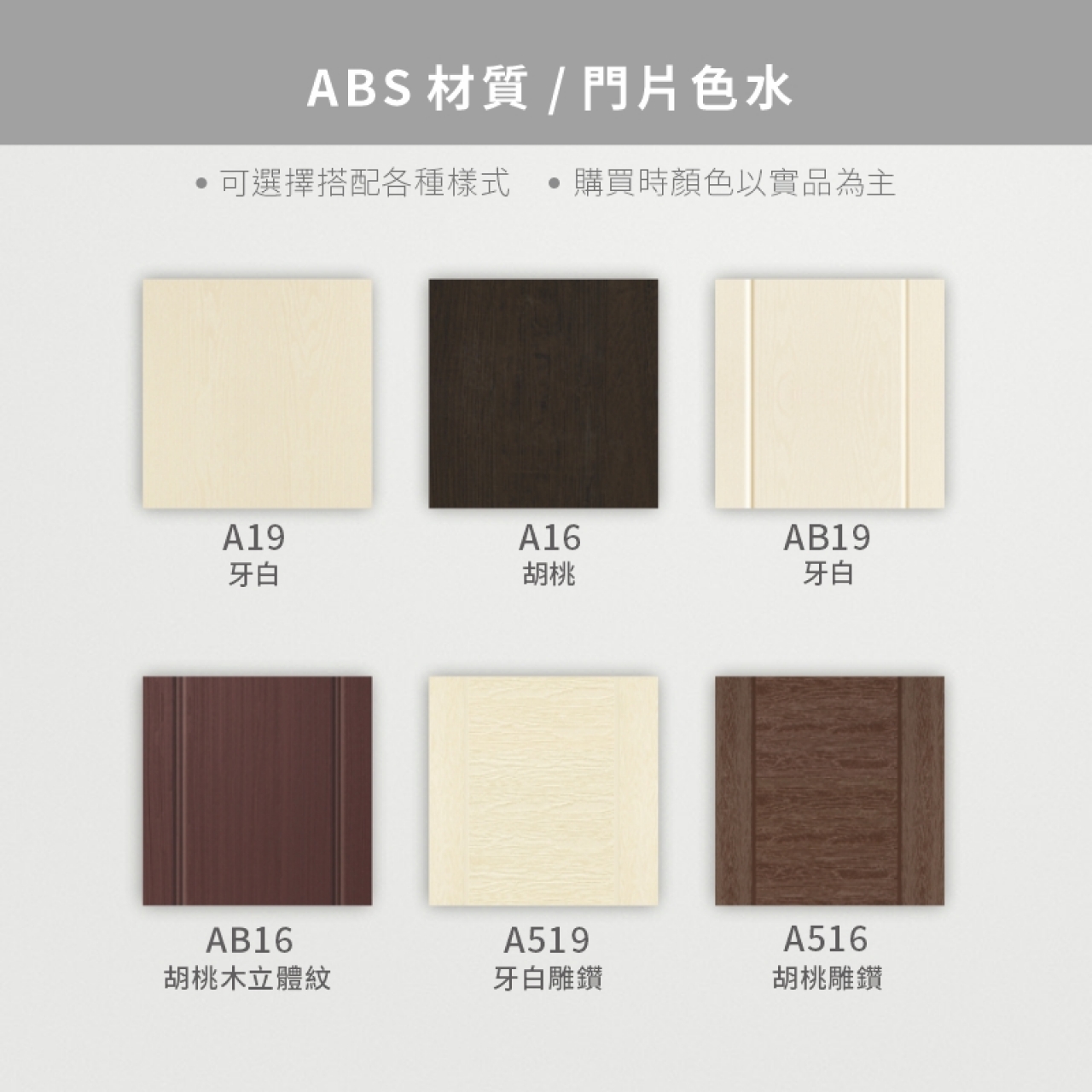 ABSdoor03