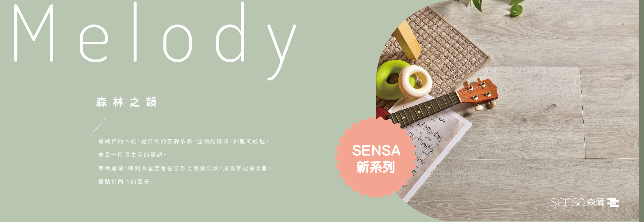 2025 sensa new 04