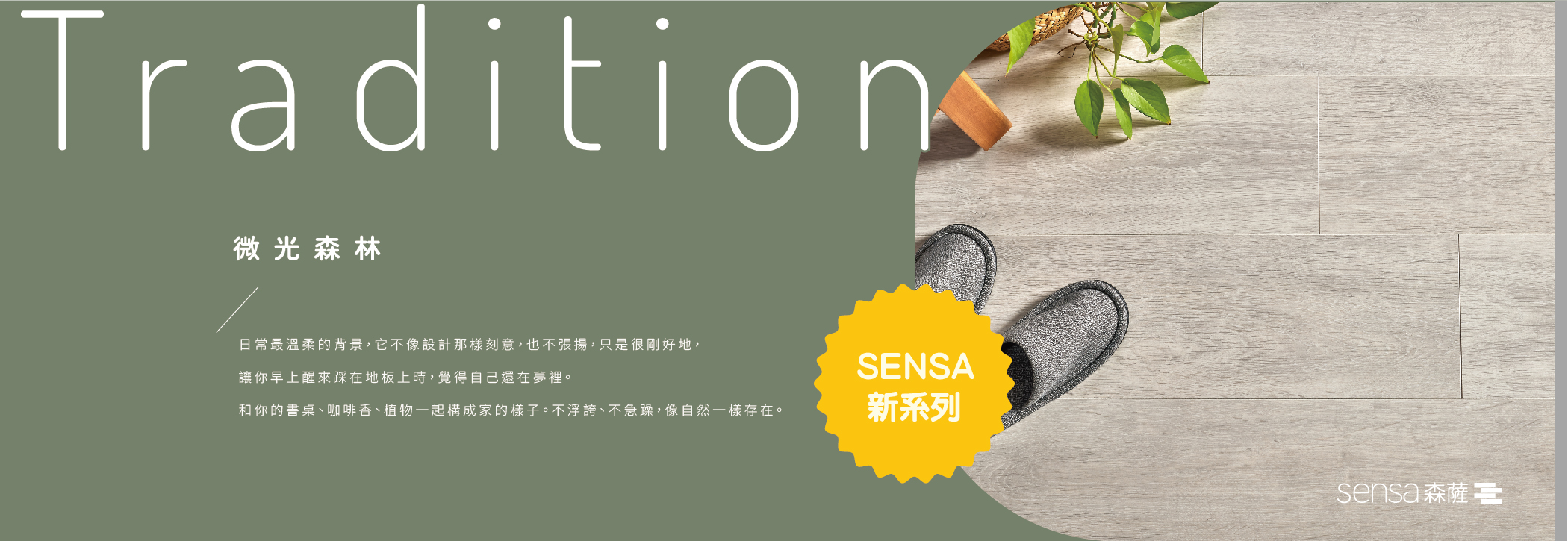 2025 sensa new 05